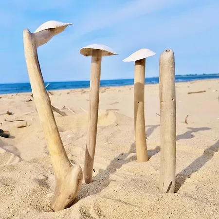 Old Town Fregio Apartmán *