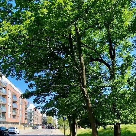 公寓 Old Town Fregio 格但斯克