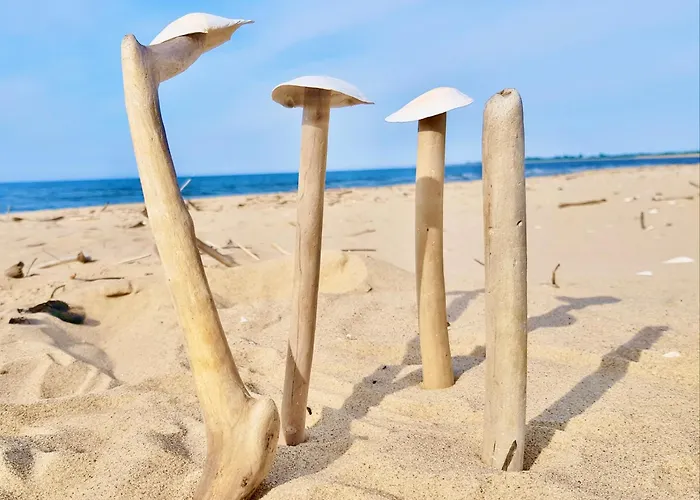 Old Town Fregio Apartman *